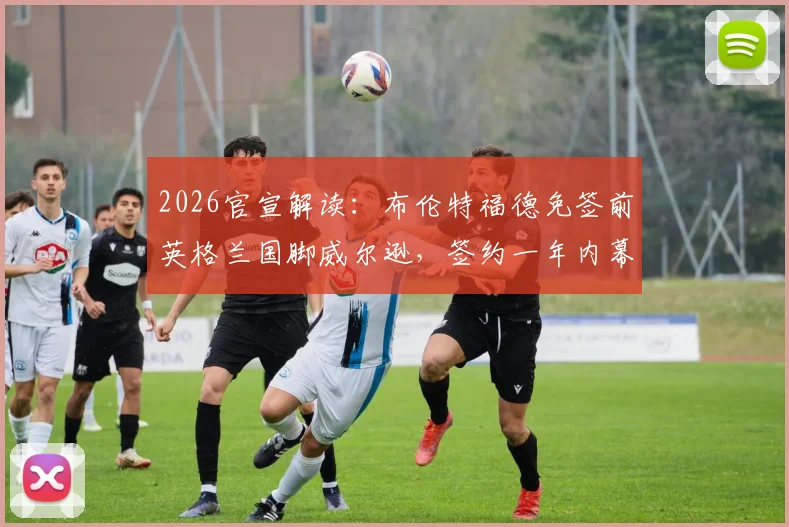 2026官宣解读:布伦特福德免签前英格兰国脚威尔逊,签约一年内幕及未来展望