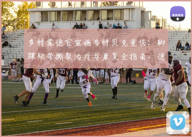 多特蒙德官宣施洛特贝克重伤：脚踝韧带撕裂治疗与康复全指南，德国队2026世界杯前景分析